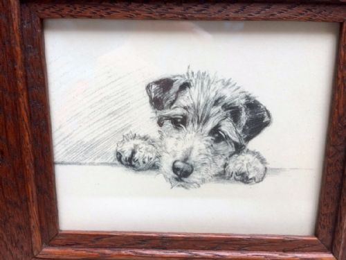 fig 1. A fine K F Barker vintage Terrier puppy print.