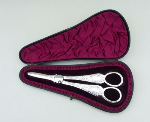 fig 1. A fabulous pair of boxed Victorian silver grape shears.