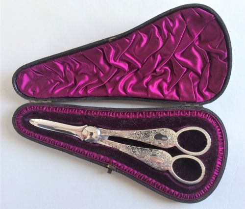 A Fabulous Pair of Boxed Victorian Silver Grape Shears.