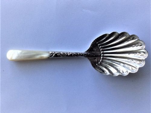fig 1. A charming Victorian silver & mother-of-pearl caddy spoon.
