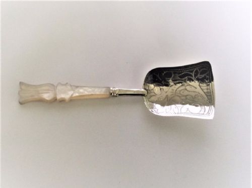 A Superb Early Victorian Silver & Mother-of-pearl Caddy Spoon.