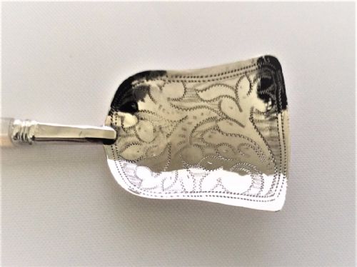 fig 1. A superb early Victorian silver & mother-of-pearl caddy spoon.