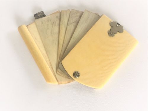 A Victorian Silver & Ivory Aide Memoire.