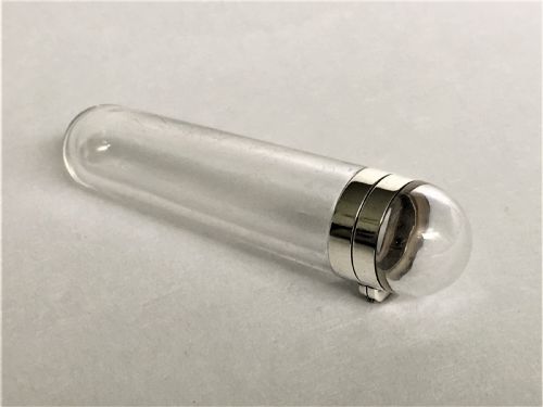 fig 1. A rare Victorian silver mounted toothpick case