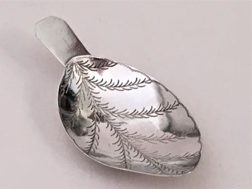 A Rare Naturalistic Georgian Silver Leaf Caddy Spoon