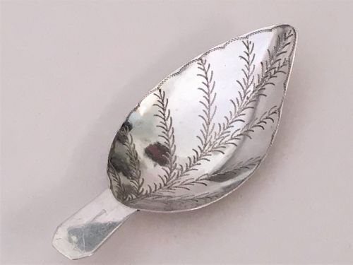 fig 1. A rare naturalistic Georgian silver leaf caddy spoon