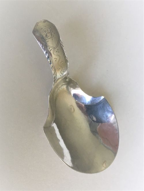A Gorgeous 18th Century Silver Caddy Spoon
