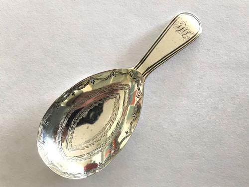 A Lovely Georgian Silver Tea Caddy Spoon