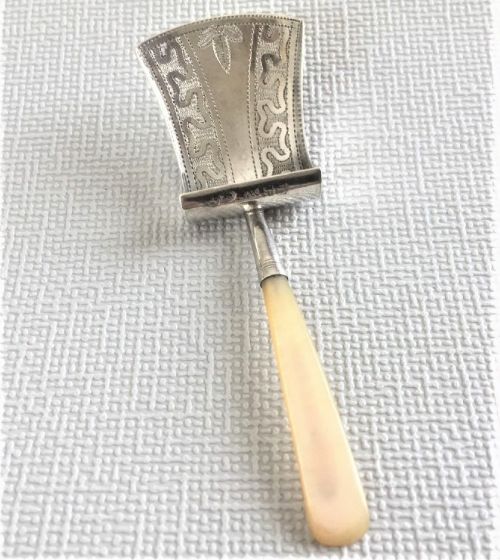 A Georgian Regency Silver Caddy Spoon