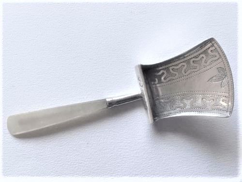 fig 1. A Georgian Regency silver caddy spoon