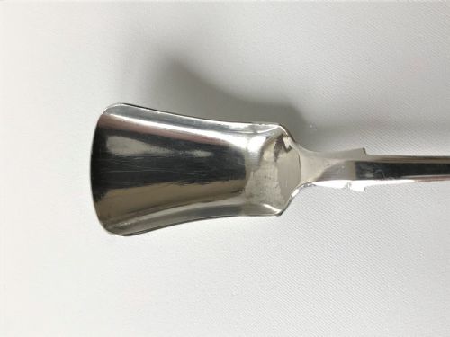 fig 1. A rare Victorian Irish silver condiment shovel