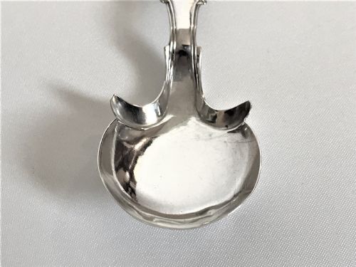 fig 1. An unusual design Georgian silver caddy spoon