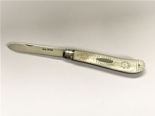 A Gorgeous Edwardian Silver & Mother-of-pearl Fruit Knife