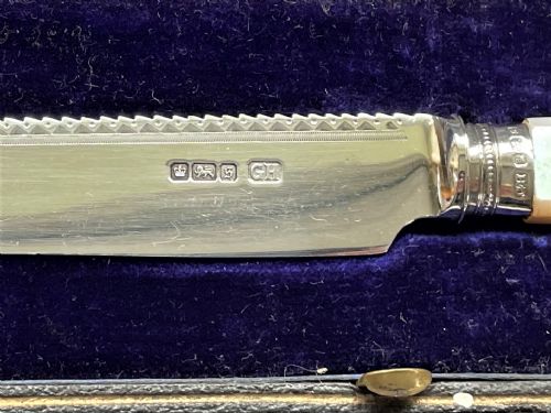 fig 1. A gorgeous Edwardian boxed silver cake knife