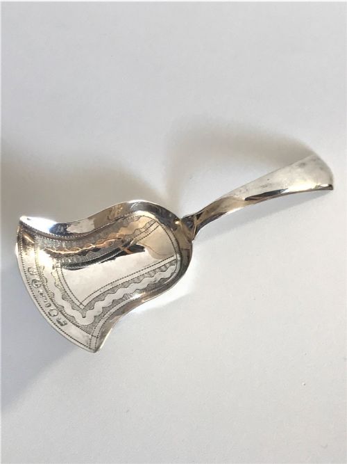 fig 1. A fine Georgian Regency silver caddy spoon