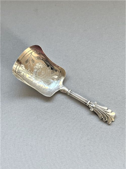 A Pretty Transitional Victorian Silver Tea Caddy Spoon