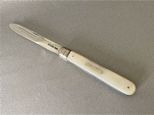 fig 1. A rare Edwardian silver campaign duo