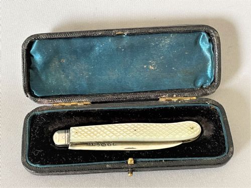 A Mid Victorian Cased Silver Fruit Knife