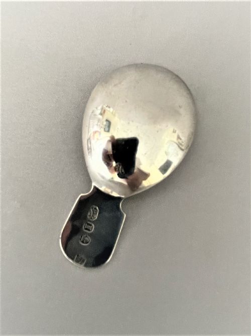 fig 1. A delightful Georgian silver caddy spoon