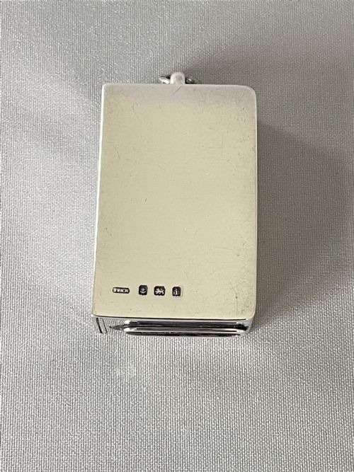 fig 1. An Unusual Edwardian sprung silver vesta