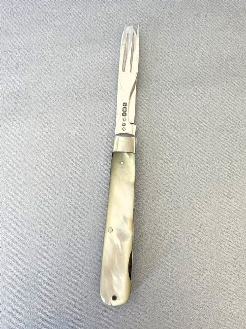 fig 1. A desirable Victorian silver Campaign duo