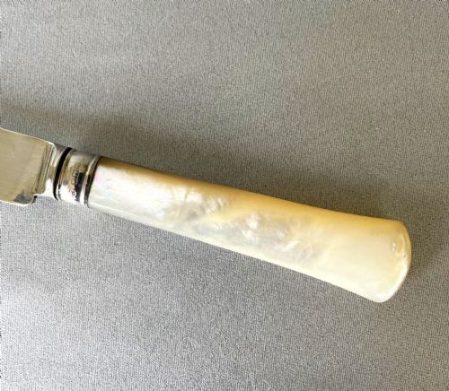 fig 1. A stylish silver & mother-of-pearl cake knife