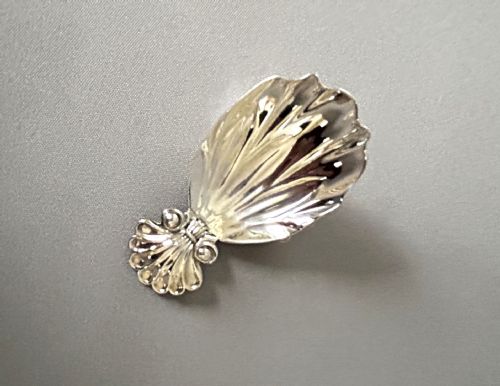 A Georgian Regency Period Silver Caddy Spoon