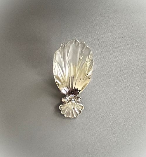 fig 1. A Georgian Regency period silver caddy spoon