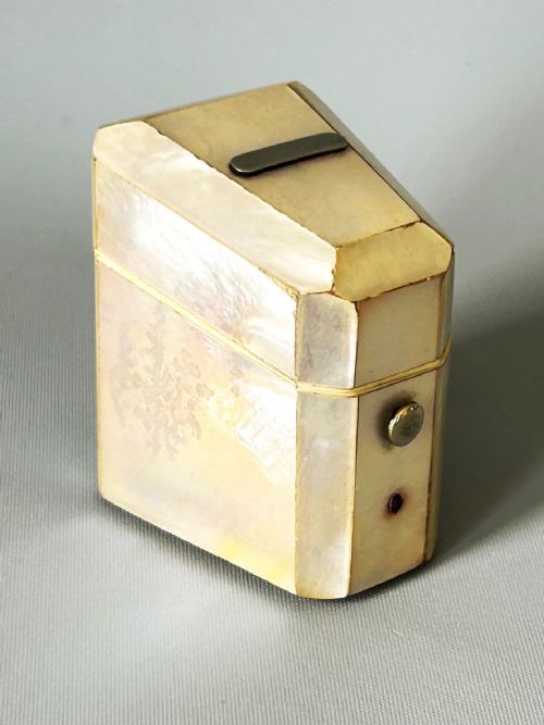 A Victorian Novelty Silver & Mother-of-pearl Needle Case