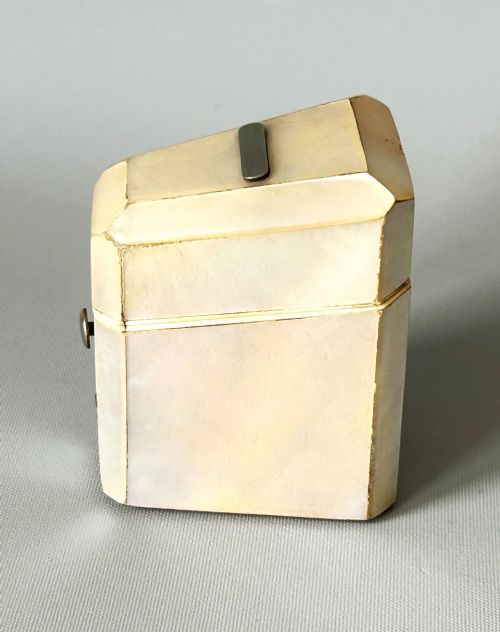 fig 1. A Victorian novelty silver & mother-of-pearl needle case