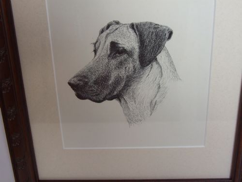 fig 2. A handsome 1930's print of a Great Dane