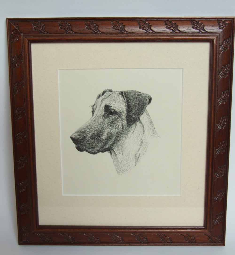 A handsome vintage print of a great Dane.