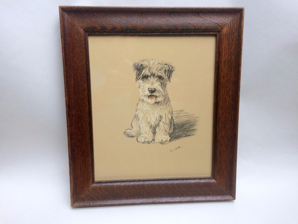 A Lucy Dawson vintage print of a wire haired terrier puppy.