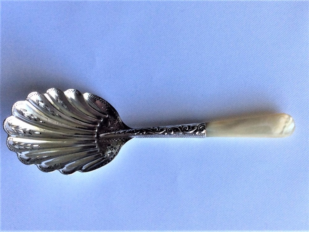 A charming Victorian silver & mother-of-pearl caddy spoon.