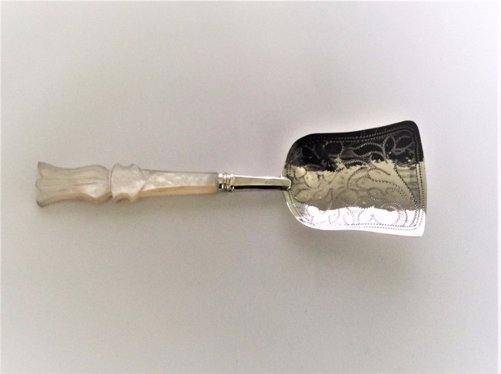 A superb early Victorian silver & mother-of-pearl caddy spoon.