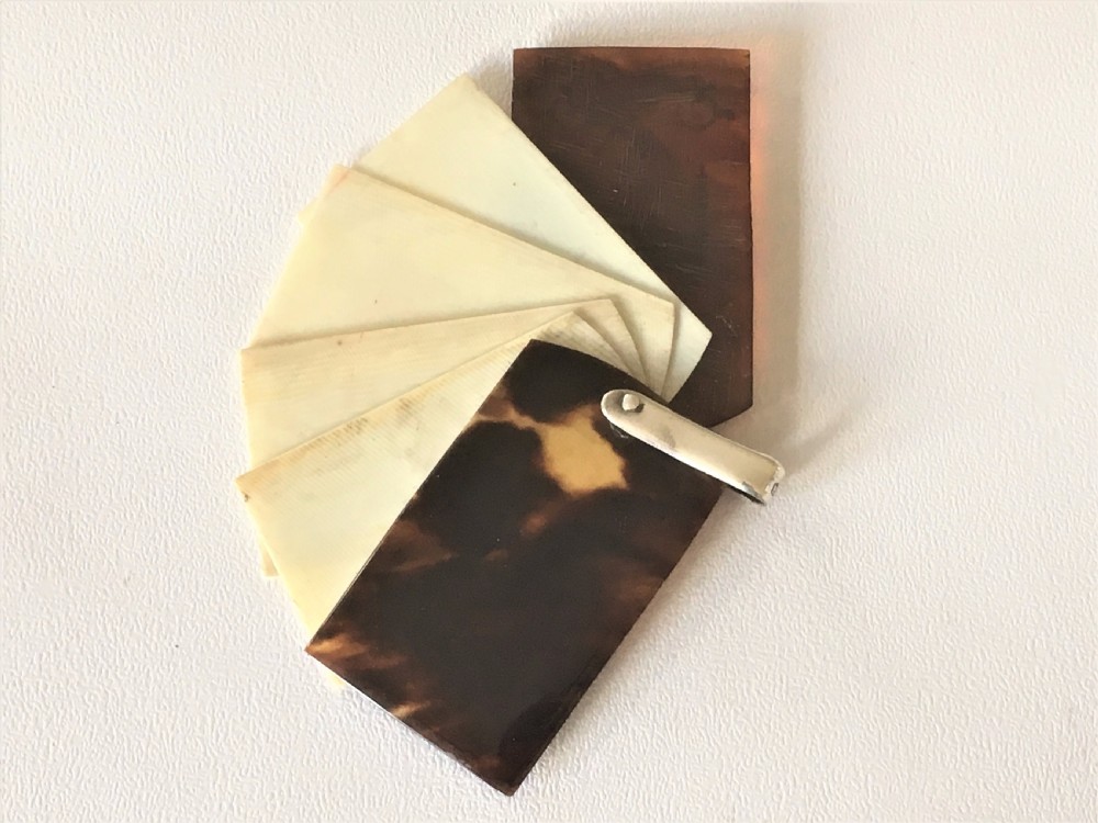 A gorgeous silver & tortoiseshell aide memoire. View VII