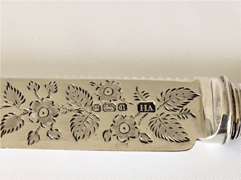 A boxed Edwardian silver Wedding cake knife. View VII