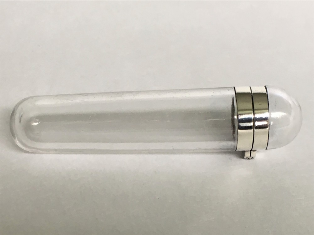 A rare Victorian silver mounted toothpick case
