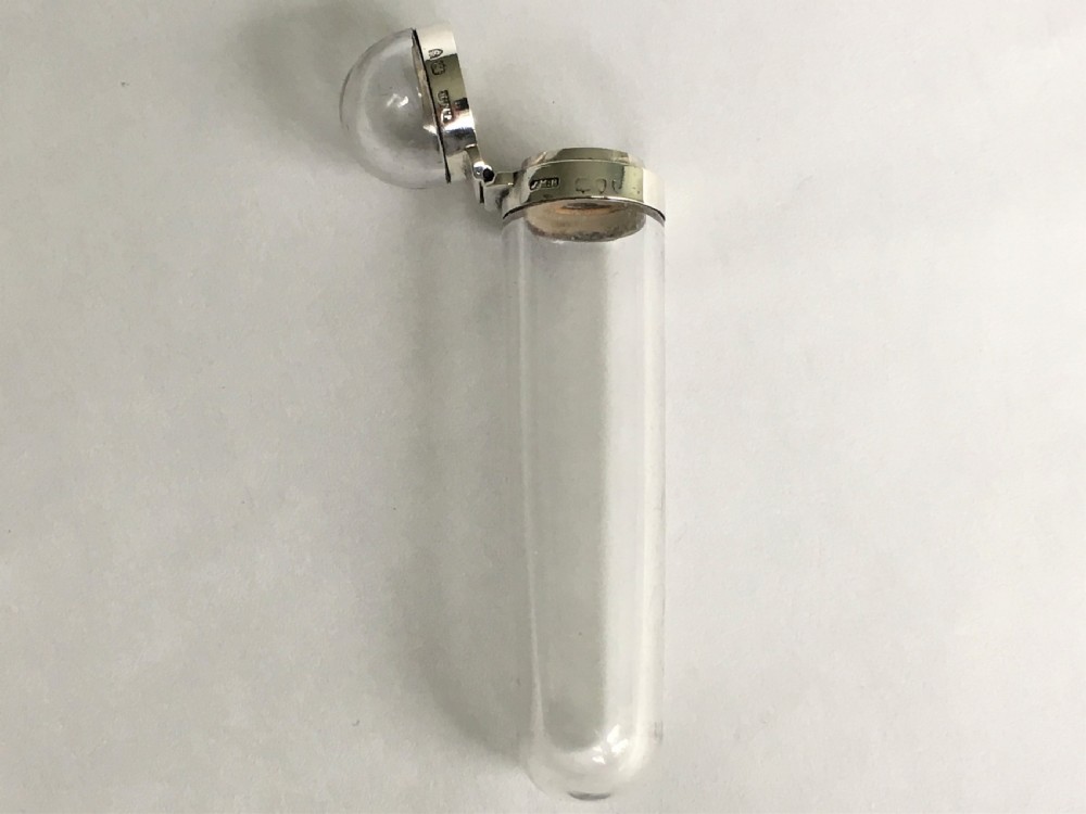 A rare Victorian silver mounted toothpick case View IV