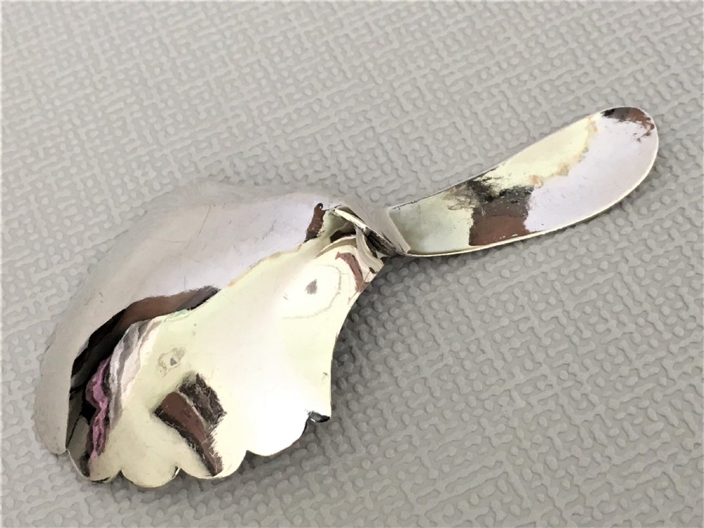 A gorgeous William IV silver caddy spoon View V