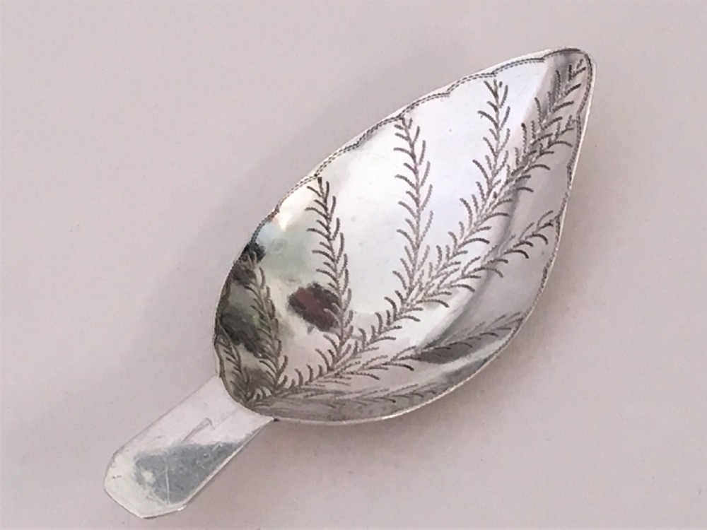 A rare naturalistic Georgian silver leaf caddy spoon View II