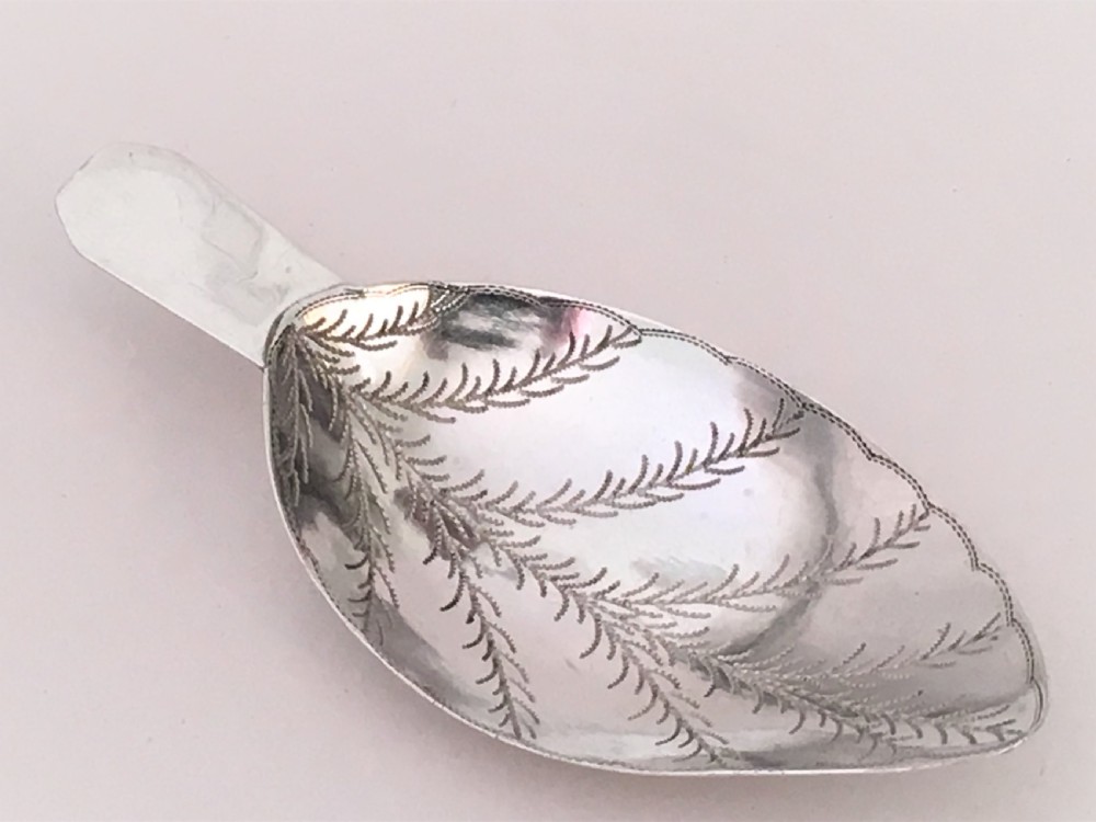 A rare naturalistic Georgian silver leaf caddy spoon View V