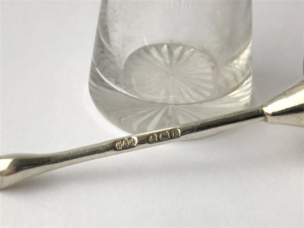 A desirable silver & glass 'devil's head' cayenne bottle & spoon View V