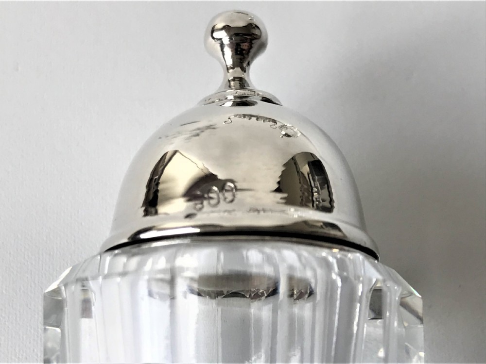 A gorgeous German silver salt & pepper cruet View VI