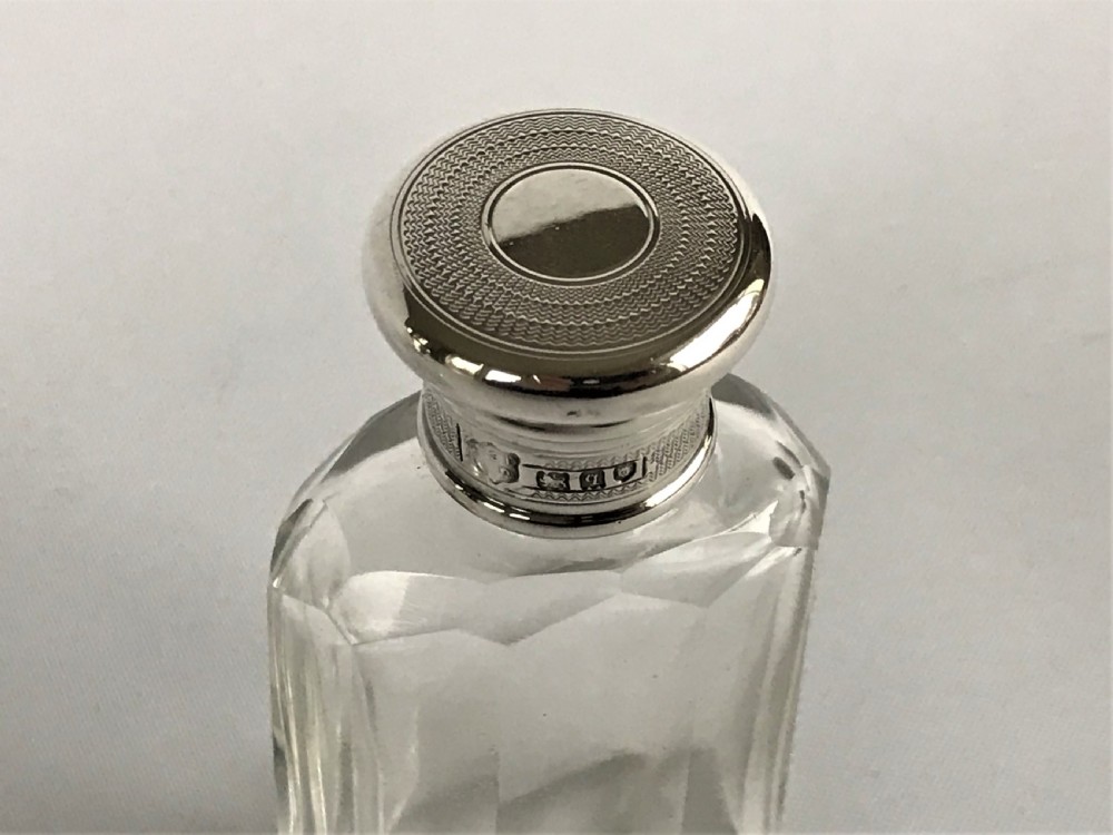 A delightful pair of silver mounted small toilet water bottles View VII