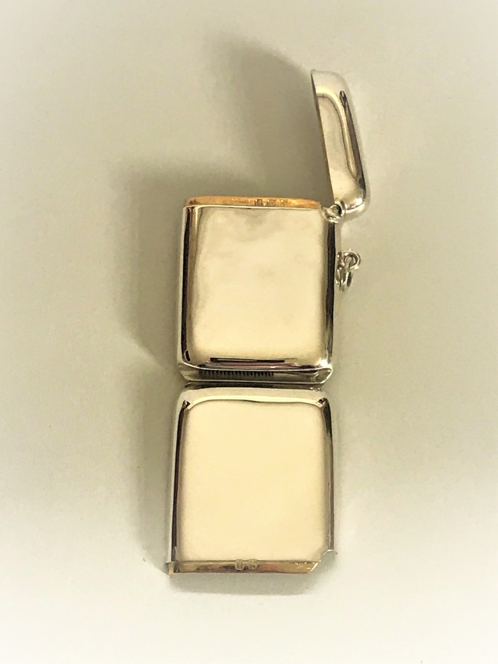 A superb novelty Edwardian silver vesta with photo frame View V