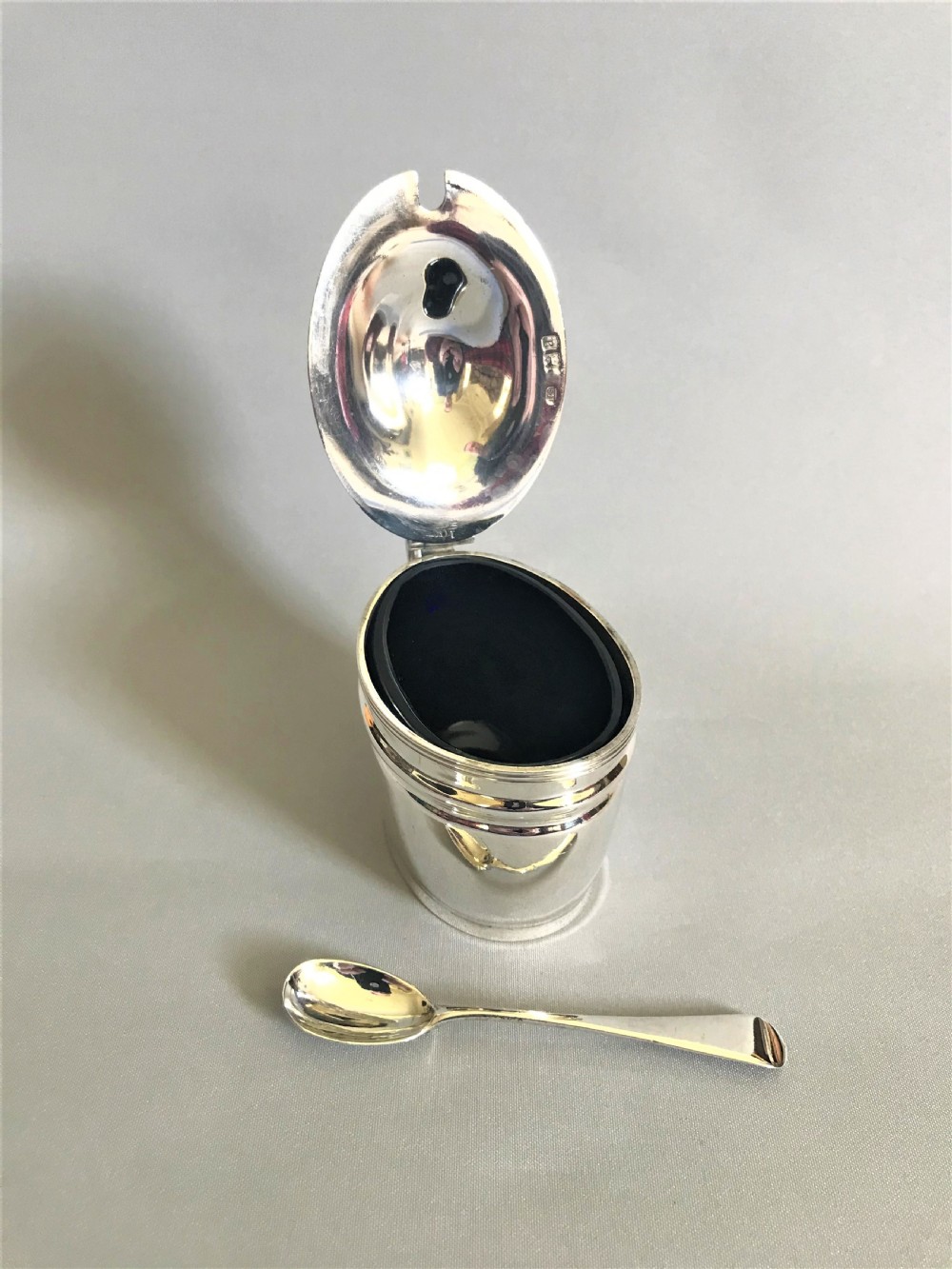 A handsome Victorian mustard pot and spoon View V