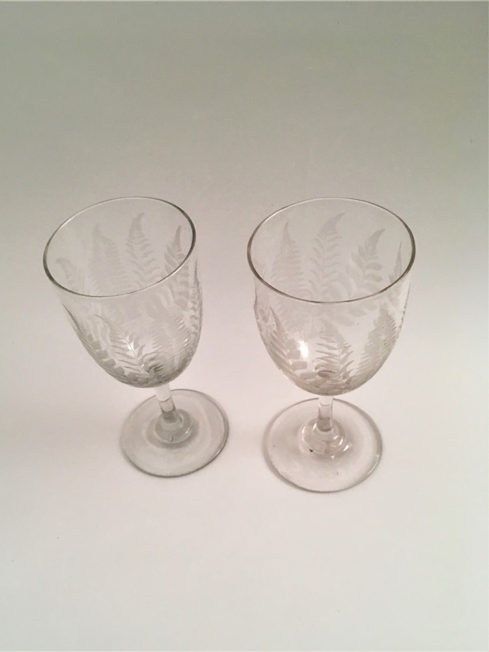 A lovely pair of fern etched Victorian wine goblets View IV