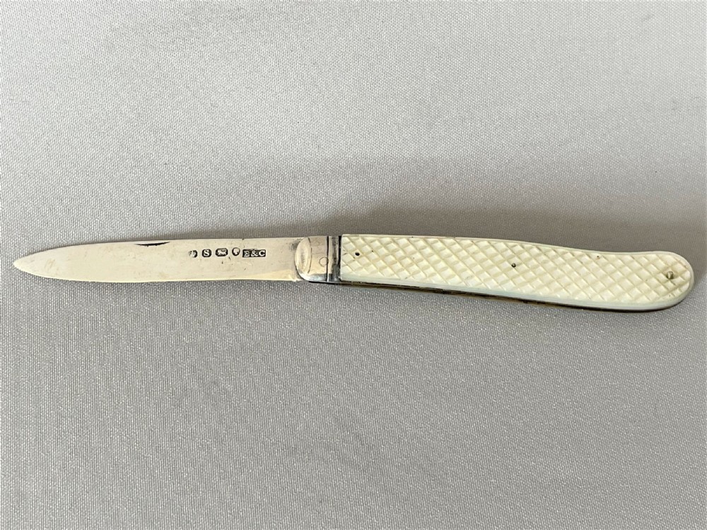 A mid Victorian cased silver fruit knife View IV