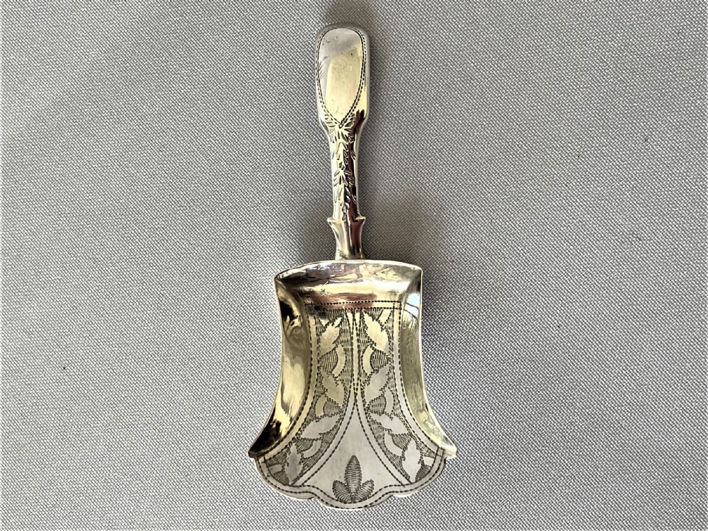 A gorgeous Georgian silver caddy spoon